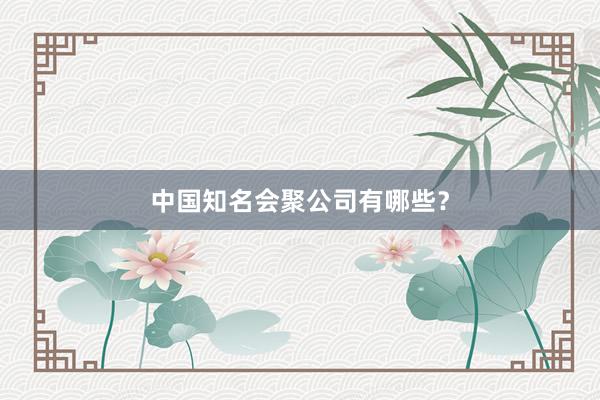 中国知名会聚公司有哪些？