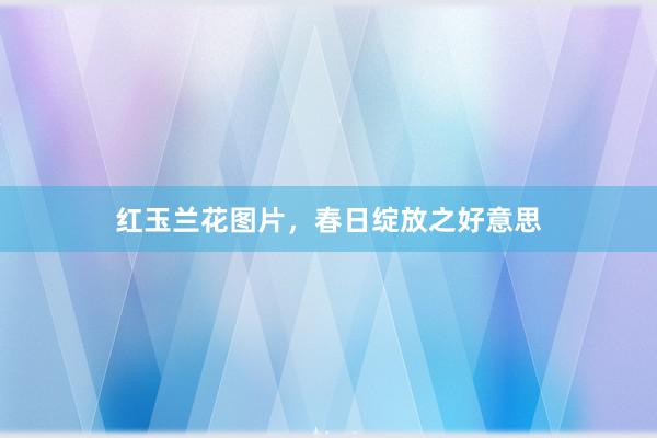 红玉兰花图片，春日绽放之好意思