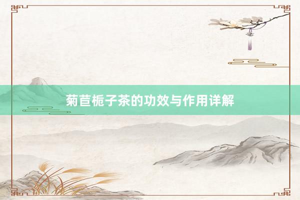 菊苣栀子茶的功效与作用详解